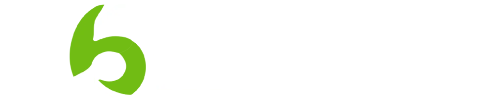 6 WICKETS